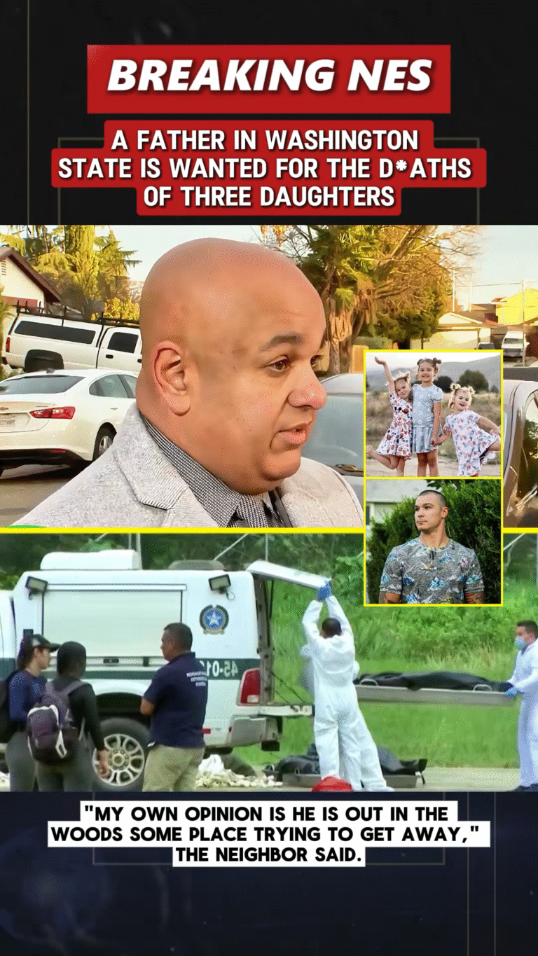 SnapTik-dot-Kim-9f80a5fe2c8613dc56b3839214fae942.00_58_15_14.Still041