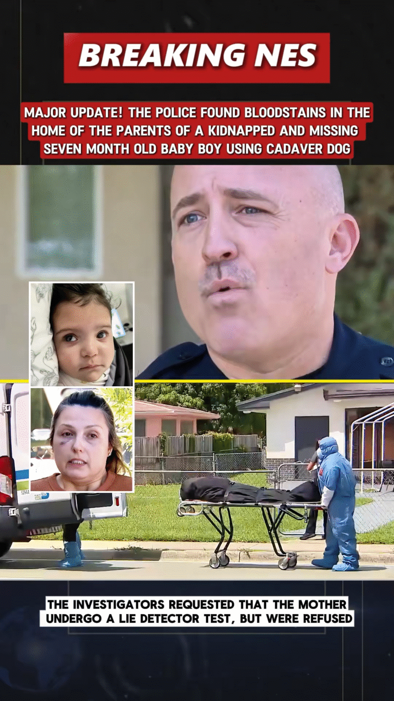 SnapTik-dot-Kim-9f80a5fe2c8613dc56b3839214fae942.01_00_03_17.Still048